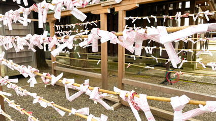 靖国神社の境内に結ばれたおみくじ
