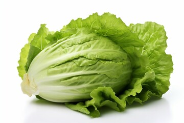 Crisp green lettuce leaves on a clean white surface, symbolizing natural freshness