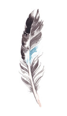 feather watercolor isolated