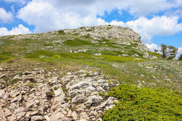 mountain plateau with stones and grass in the foreground and a cliff in the background against a blue sky with clouds
