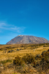 view of the foothills of kilimanjaro