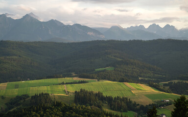 Widok na Tatry z Pienin