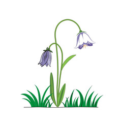 Blue tulip flower isolated on white background vector illustration.