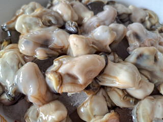 Fresh seafood, oyster meat taken from the shell