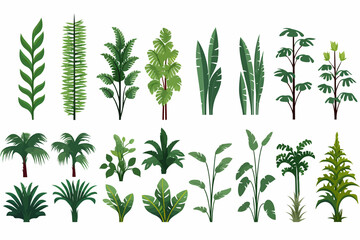 Rainforest vegetation set vector flat isolated vector style illustration - obrazy, fototapety, plakaty