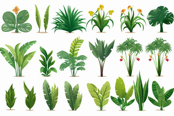 Rainforest vegetation set vector flat isolated vector style illustration