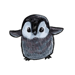 baby Penguin