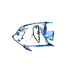 Color sketch of ornamental fish with a transparent background to learn coloring and logo elements