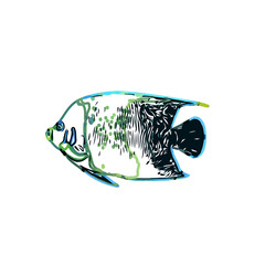 Color sketch of ornamental fish with a transparent background to learn coloring and logo elements