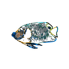Color sketch of ornamental fish with a transparent background to learn coloring and logo elements