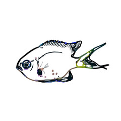 Color sketch of ornamental fish with a transparent background to learn coloring and logo elements