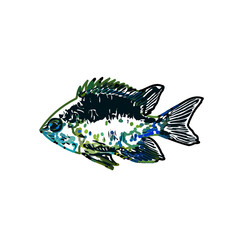 Color sketch of ornamental fish with a transparent background to learn coloring and logo elements