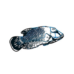 Color sketch of ornamental fish with a transparent background to learn coloring and logo elements