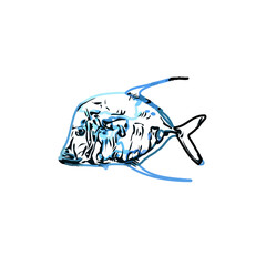 Color sketch of ornamental fish with a transparent background to learn coloring and logo elements