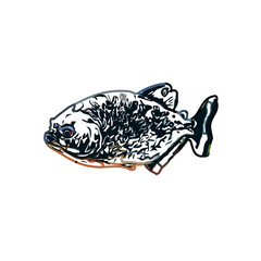 Color sketch of ornamental fish with a transparent background to learn coloring and logo elements