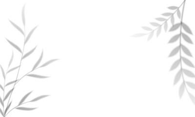 Shadow overlay effects. Tropical leaf soft shadow. Natural light scene, vector illustration