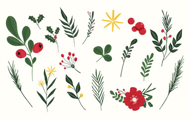 winter flower plant and berries collection