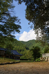 パワースポット廣瀬神社にある樹齢1000年以上のケヤキと秋晴れ