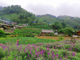  Cat Cat Village, Sapa Vietnam.