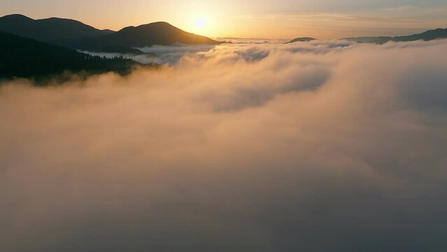 Sunset mountains travel nature aerial view pine foggy clouds fog