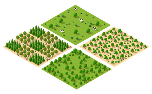 Isometric 3d illustration park trees forest nature elements