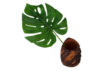 Monstera leaf in brown wooden flowerpot or pot isolated on transparent background. Ornamental plant for decorated home and Tropical tree. png transparency