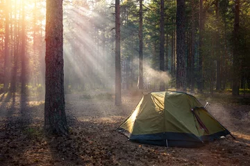 Fotobehang Tourist tent in a pine forest at sunset. © 02irina