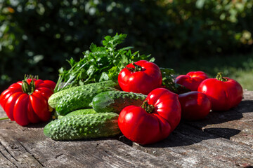 Fresh tomatoes, cucumbers and parsley on an old wooden table. Summer harvest in the garden