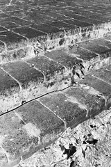 stone steps overgrown with moss in a black and white negative