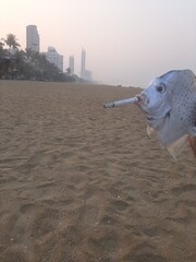 Obraz premium person on the beach