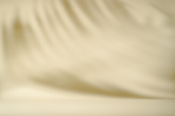 Shadow of tropical palm leaves on white wall. Minimal abstract light white background for product presentation.
