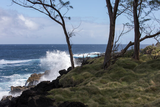 A photo of a coast trail in La Reunion