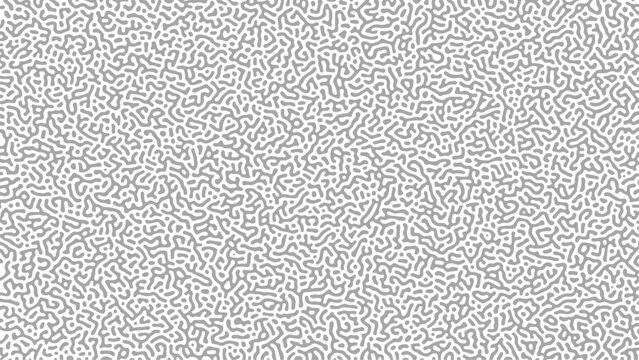 Gray turing seamless turing pattern background. Reaction Diffusion pattern vector seamless for background and artwork design.