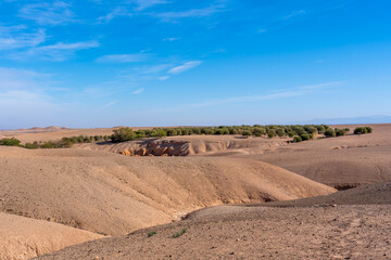 Morocco, desertic landscape in Agafay near Marrakech. 
Oasis plantation  in  the background.