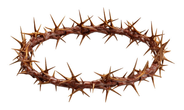 Crown of Thorns Isolated on Transparent Background
