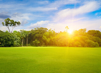 Beautiful park with green lawn at sunrise. - obrazy, fototapety, plakaty