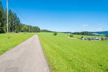 Straigth country road with green meadows at both sides, in the famous "Schwarzwald" (Black Forest), close to Triberg, Germany. Blue sky on the background.