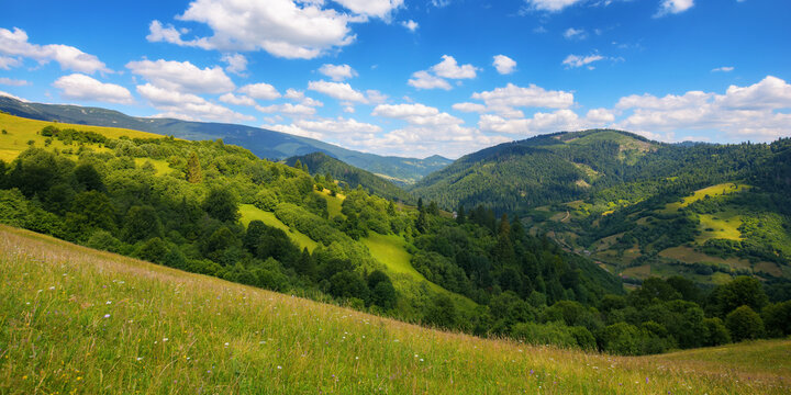 countryside scenery with meadow in mountains. empty grassy pasture on the hill in summer. green hay field landscape on a sunny day. forest on the slope