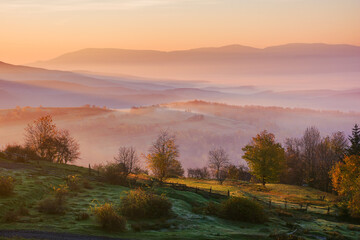 beautiful countryside landscape at sunrise. trees and rural fields on the hills. fog in the distant valley. mountainous autumnal scenery in morning light. misty atmosphere