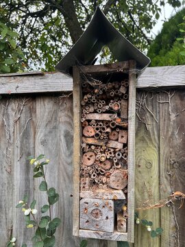 Landscape with bee insect hotel for nesting hand made with timber cane and wood plank tunnels for bees to nest Winter conservation in garden environment with spider webs hung on wooden fence outdoors