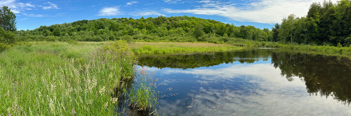 Beaver pond in Huyck Preserve, Rensselaerville, New York