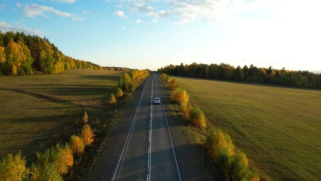 One white car driving on an asphalt road in the autumn season, aerial view. Colorful trees. Picturesque autumn landscapes during sunset. 