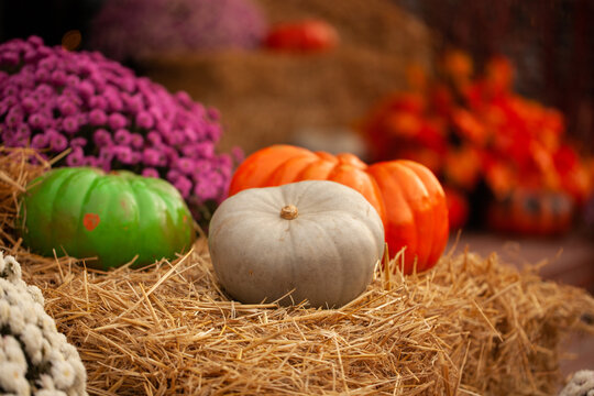 Multicolored pumpkins on the hay on an autumn background