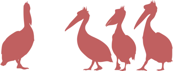 Poster Im Rahmen Vector image of pink pelicans. A funny scene. Friends or family card. © svistoplas