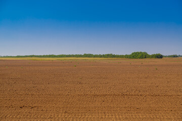 A freshly plowed field prepared for planting crops.