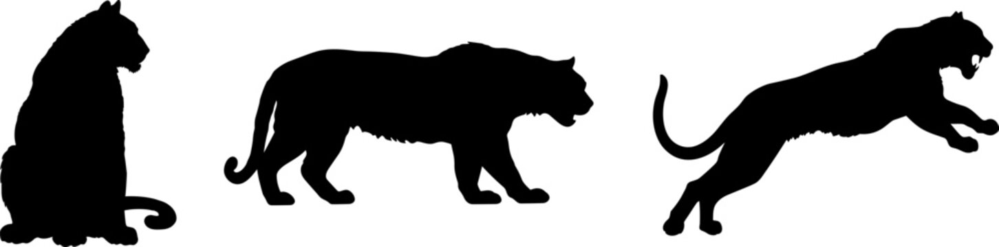 tiger cat black silhouette logo set