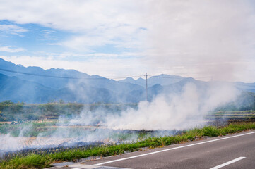 道路沿いからの田んぼの藁焼き風景