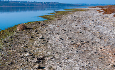 Dried and white algae on the shore of the Tiligul estuary during the drying out of the estuary