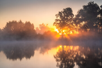 Sunrise on a foggy lake - 655357589