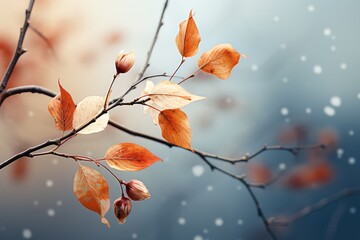 autumn leaves in the snow